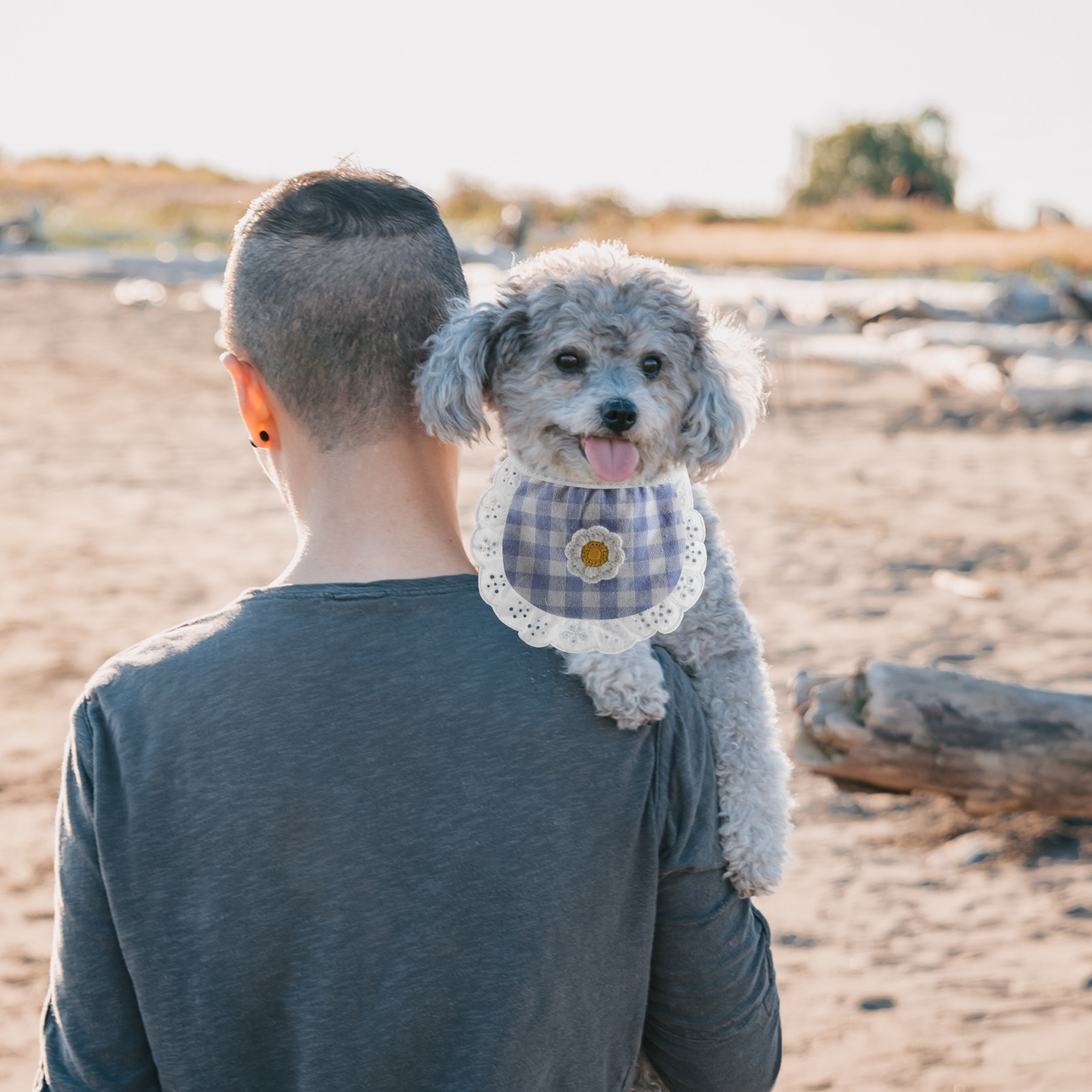 Pet Neckerchief Lace Bandana B - đánh giá và giá Bandana Cotton